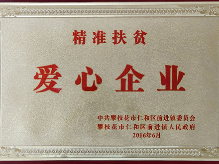 2016-精準(zhǔn)扶貧愛(ài)心企業(yè)